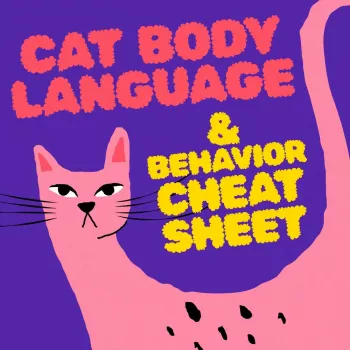 Cat Body Language: Decode Tails, Ears, Posture & Meows